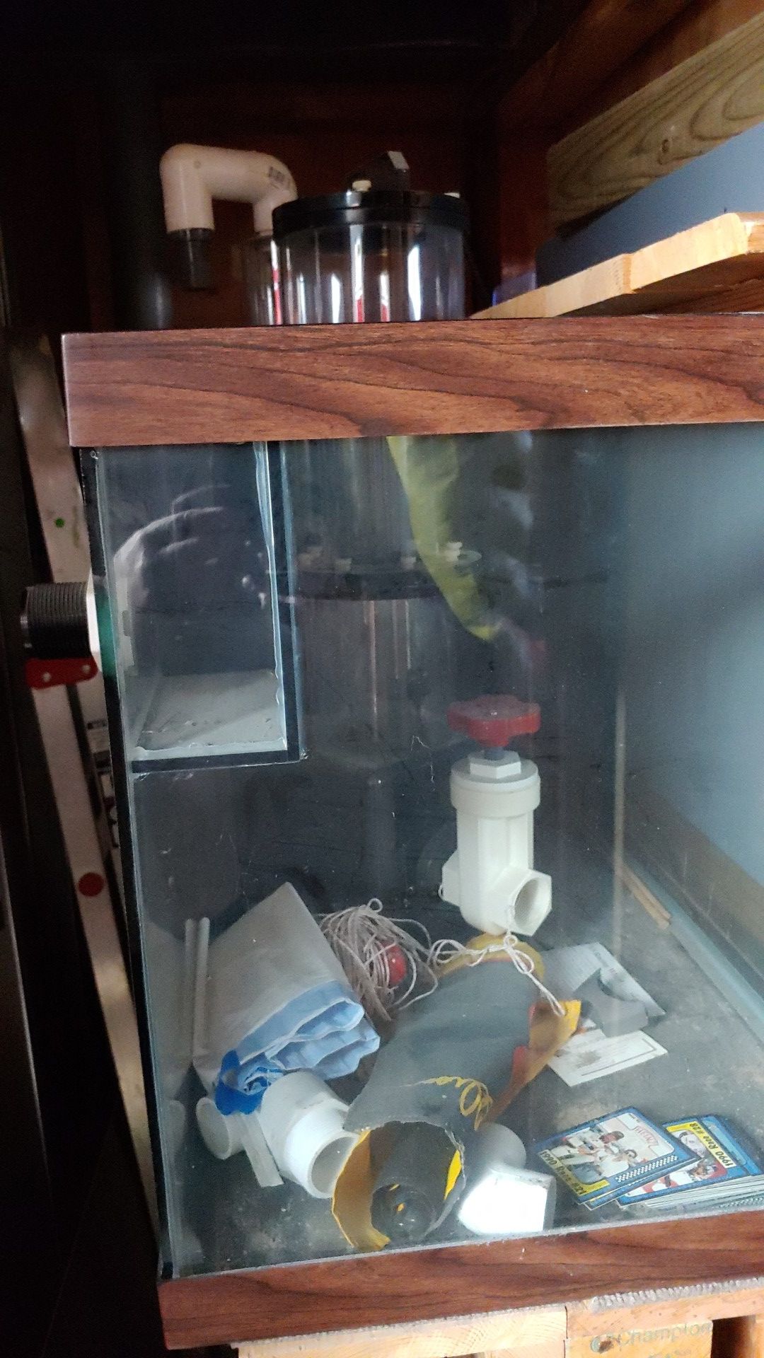 Fish tank and protein skimmer