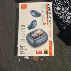 Earbuds