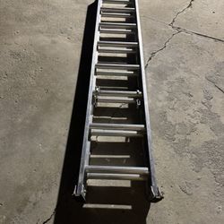 Ladder