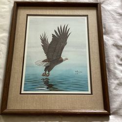 Don Balke Framed Eagle Wildlife Print
