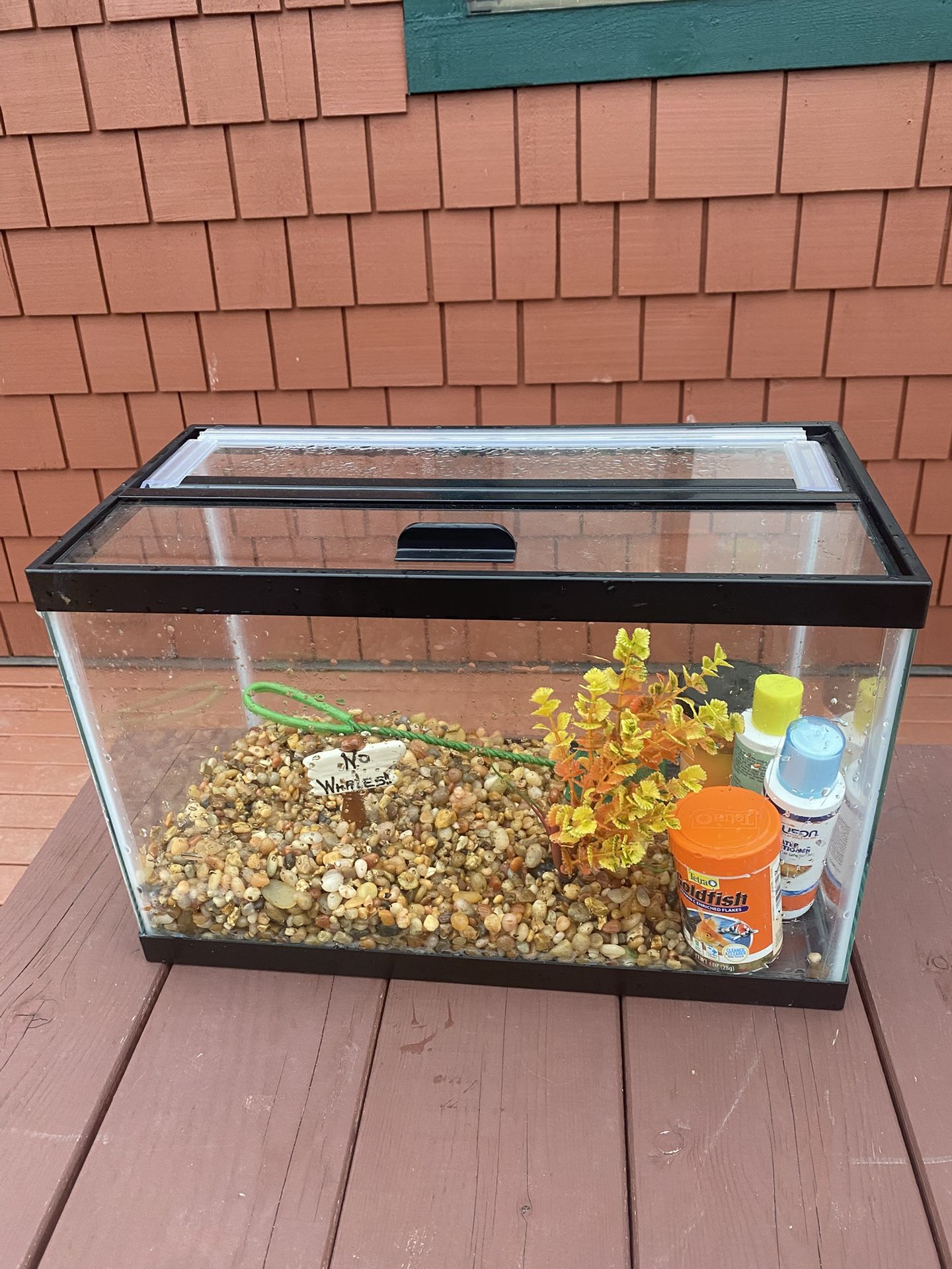 5.5 Gallon Fish Or Reptile Glass Tank With Hinged Lid And Accessories