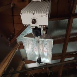 Gavita Lights and Controller Great Deal 