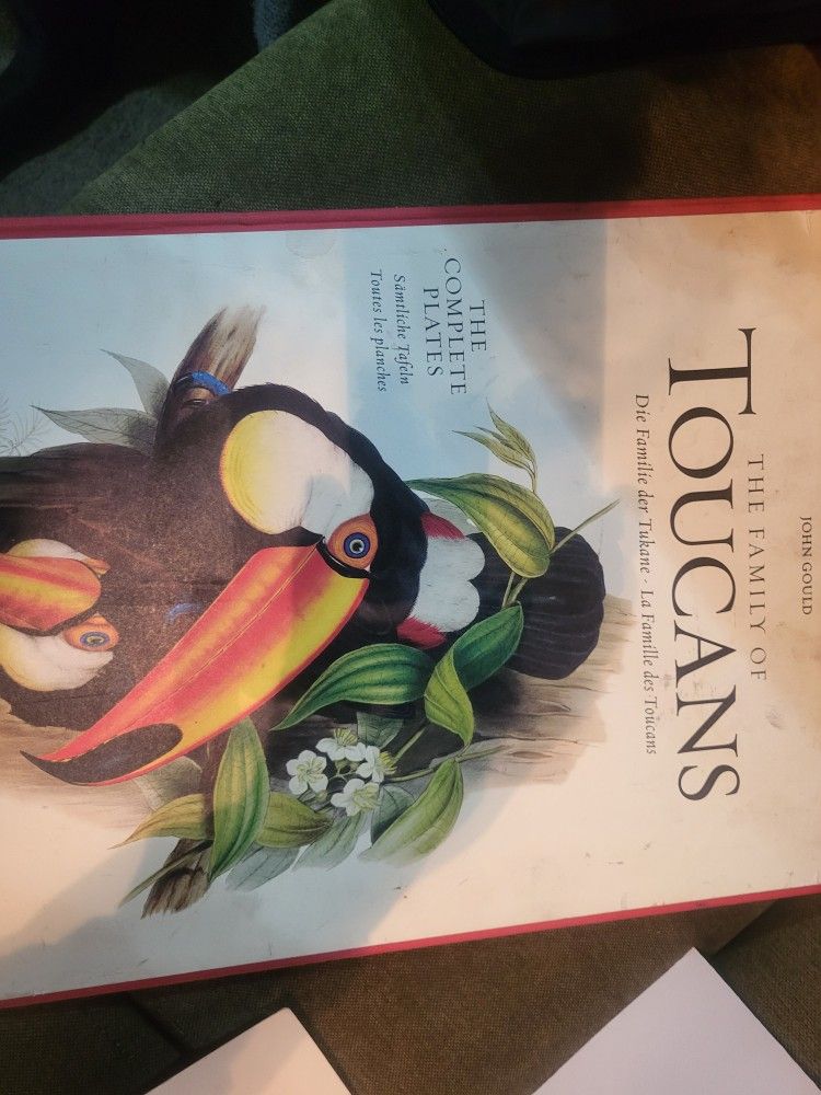 Toucan Lithograph Collection By Edward Lear