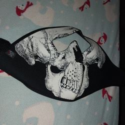 Face Mask