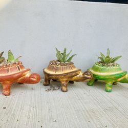 Small Mexican terracotta Turtles With Live Plant