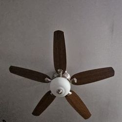 Hunter Ceiling Fan