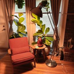 Allen + Roth 73” Adjustable Floor Lamp