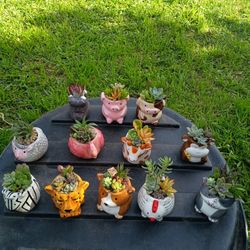 Regalo Para Cualquier Detalle 6 Dólares Cada 7na