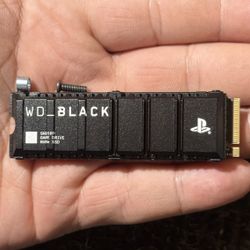 WD_BLACK 2TB SN850P NVMe Internal SSD for PlayStation 5 PS5 Western Digital