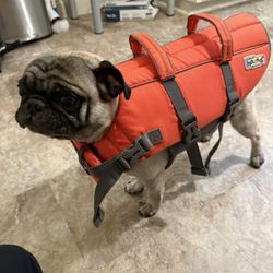Dog Life Swimming Vest 