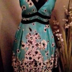 Spring Dress