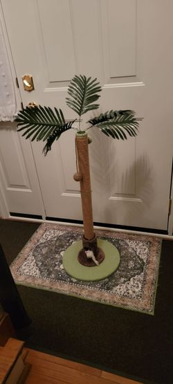 Brand new, kitten scratcher Tree