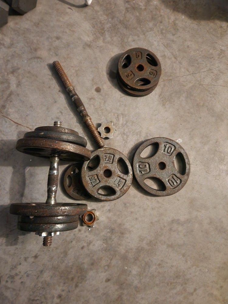 Weight Bench and Weight Plates