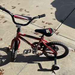 Boys 16in Bike