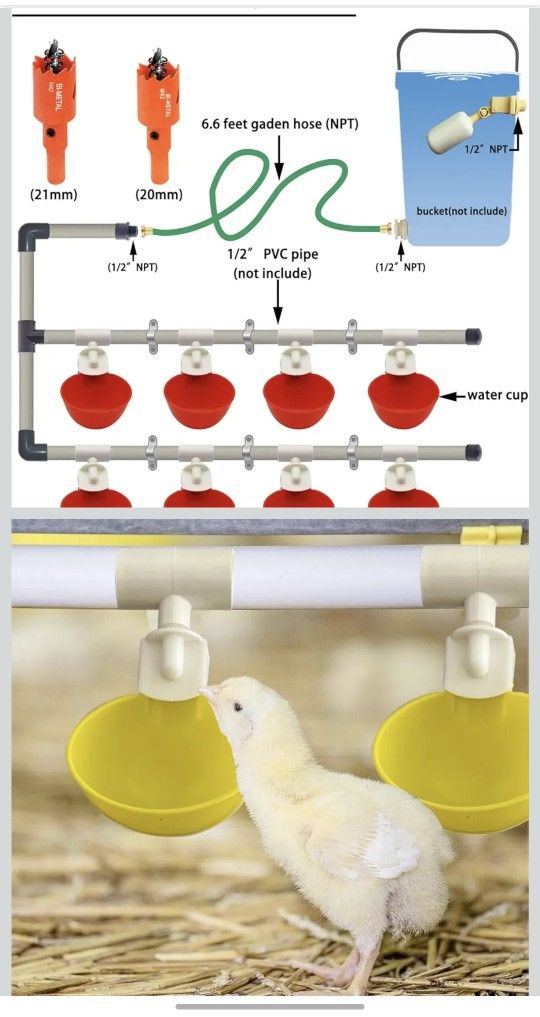 Chicken Water System