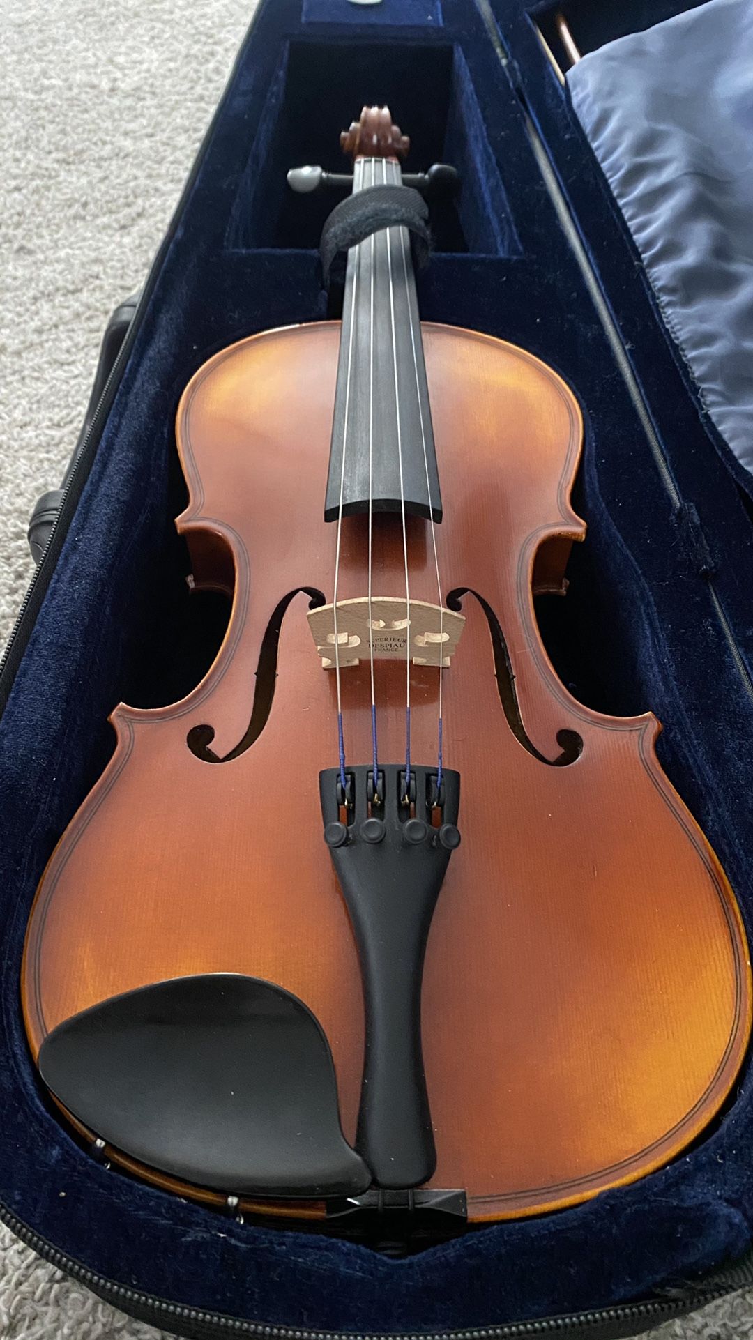 Dante Violin 