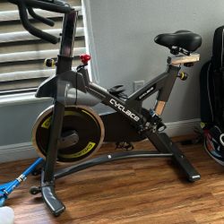 Cyclace Bike Static