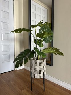 Artificial Plant And Planter $50