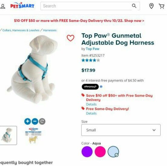 DOG/ACCESSORIES