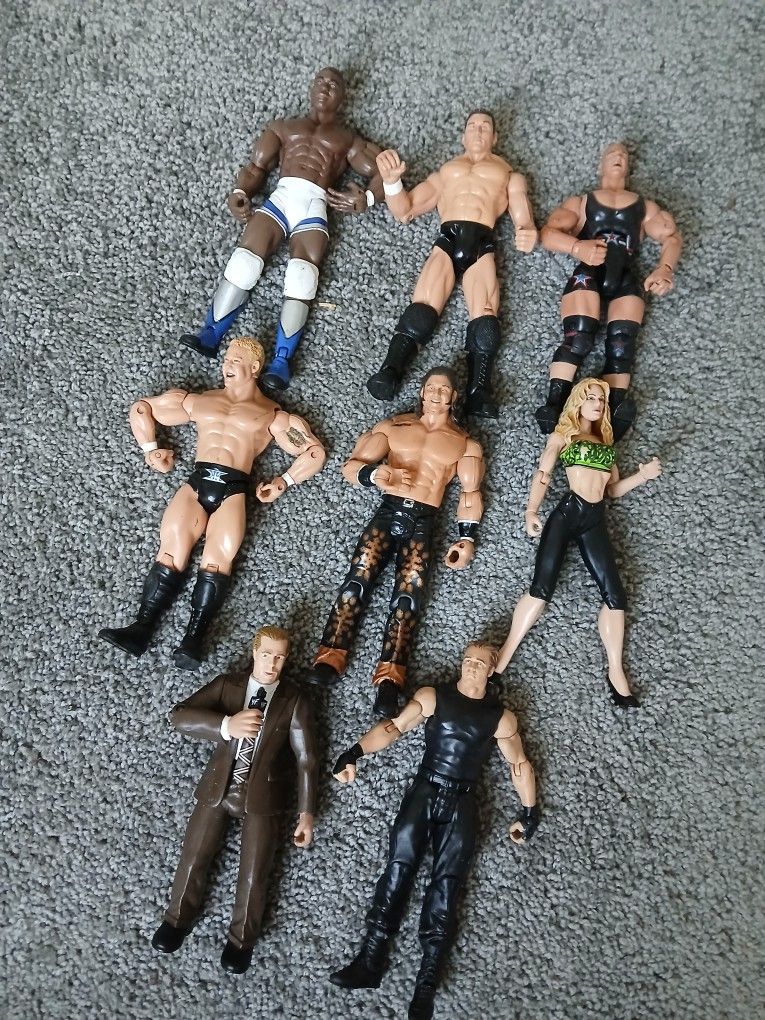 Toy WWE Wrestling Action Figures