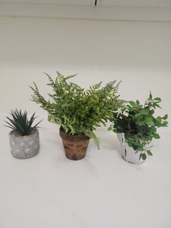 Small Artificial Plants