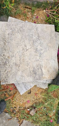 Travertine silver