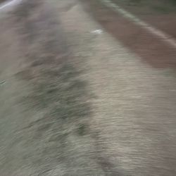 Air Jordan Men’s 8.5 