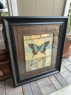 Butterfly picture