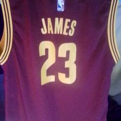 LeBron James Jerseys 