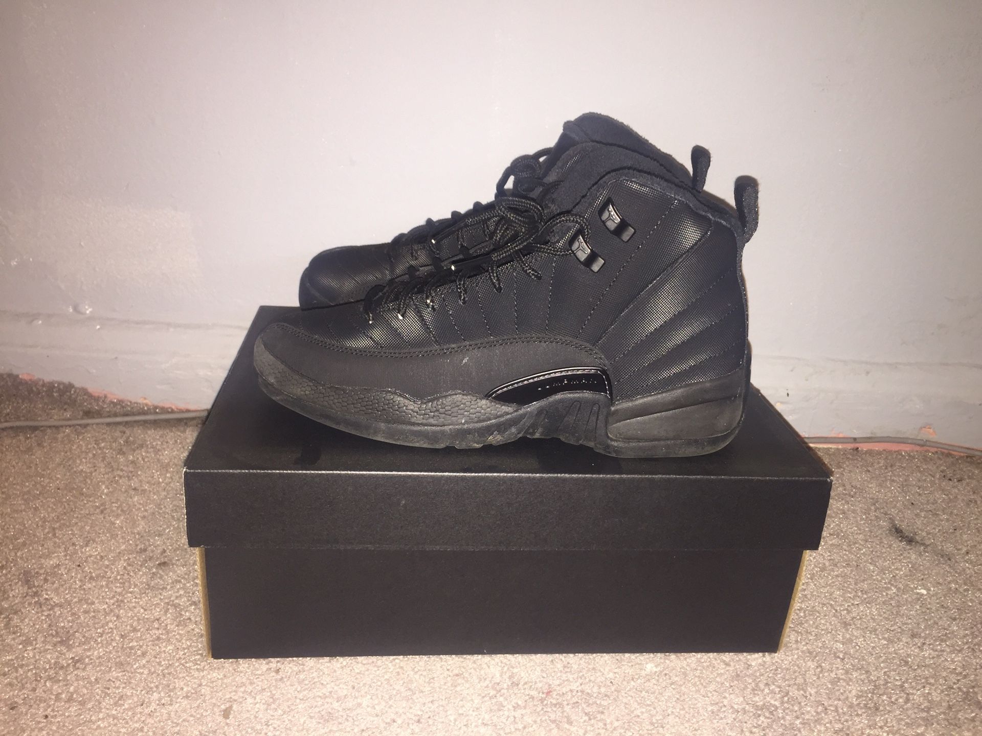 Jordan 12 all black size 6