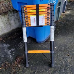 12 Foot Ladder
