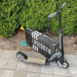 LaScoota kick scooter (The Metro)