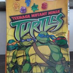 2005 TMNT Fruit Flavored Snacks Box