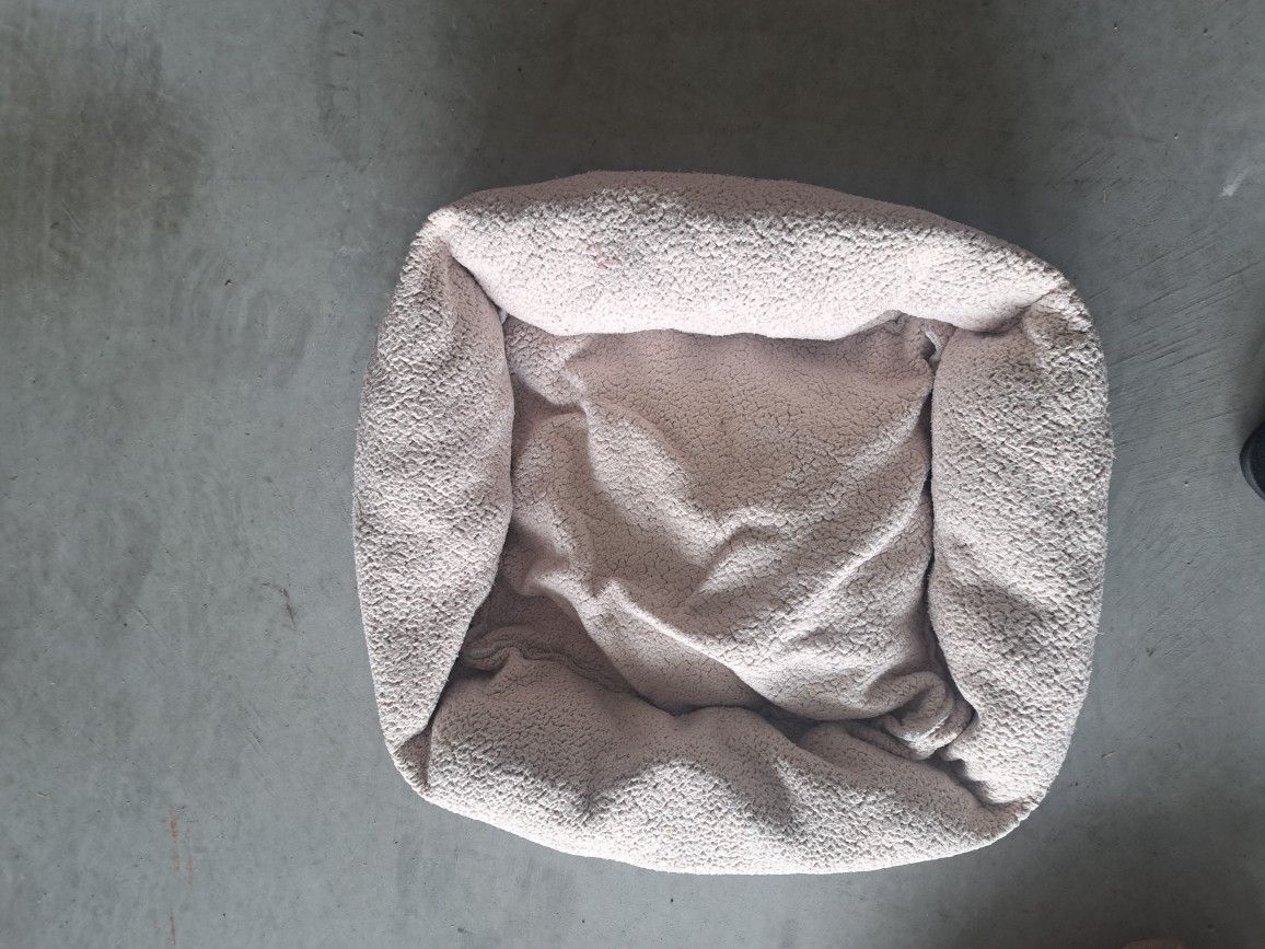 2 Dog Beds