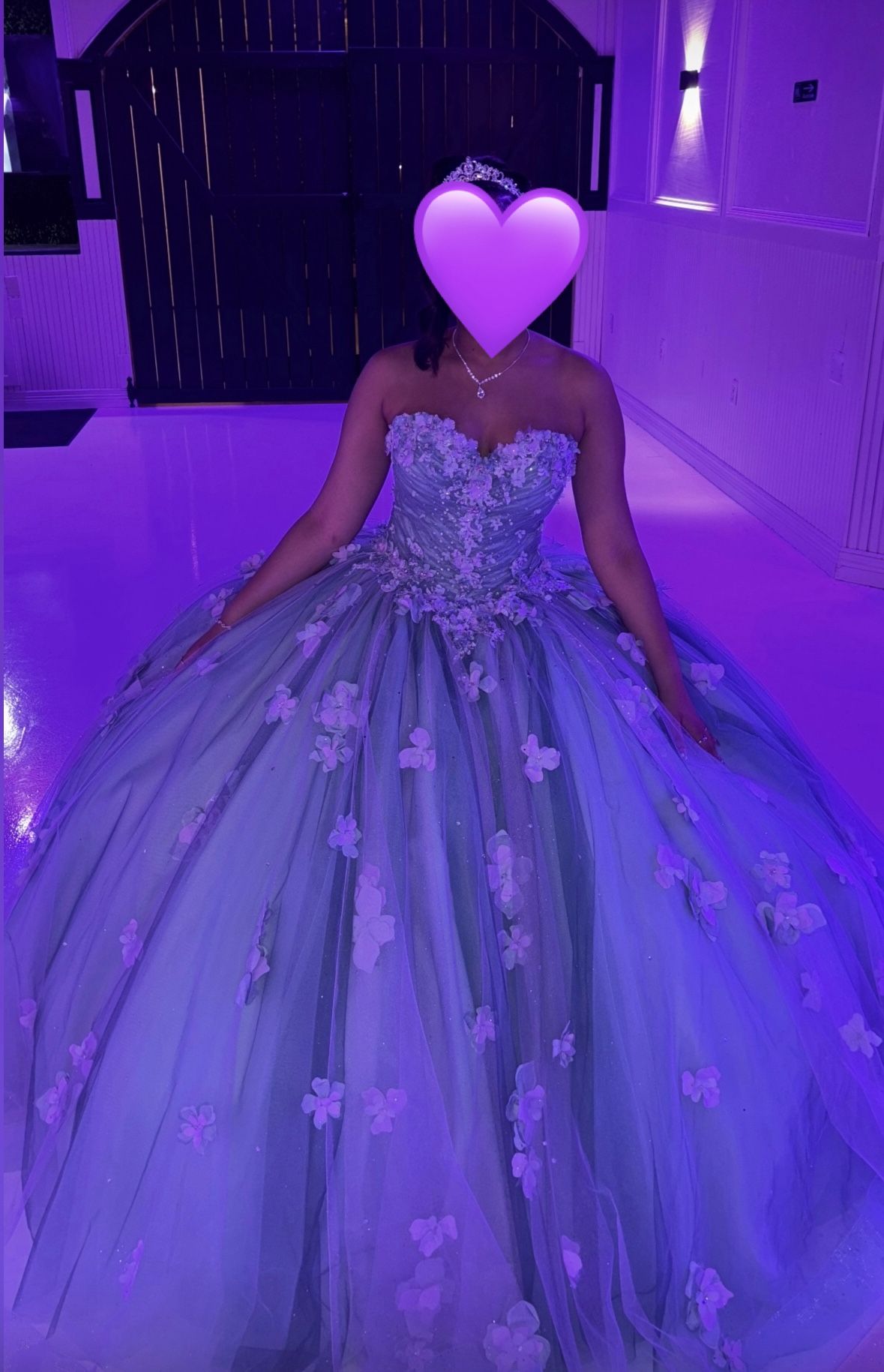 Quinceañera/ Sweet 16 Dress