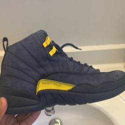 Jordan Michigan 12s