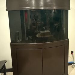 90 Gallon Fish Tank