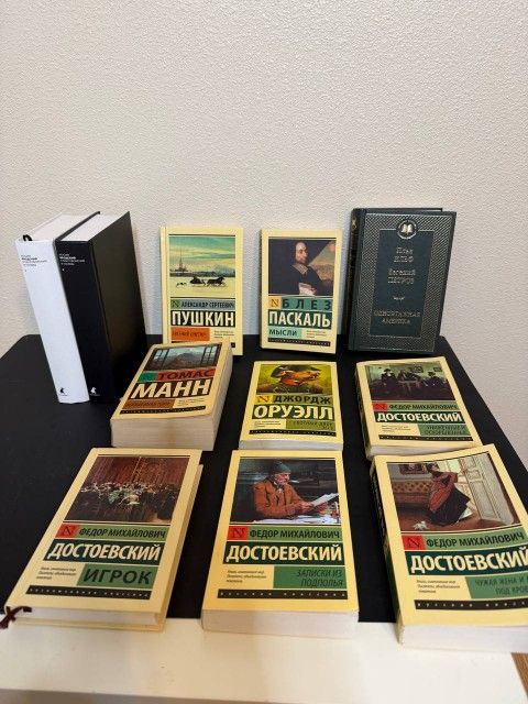 Классические книги на русском языке. Classic books in russian. (Достоевский, Манн, Паскаль, Пушкин)