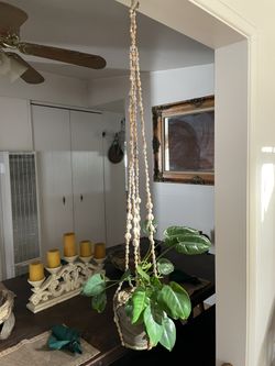 Small Delicate Seashell Plant Hanger