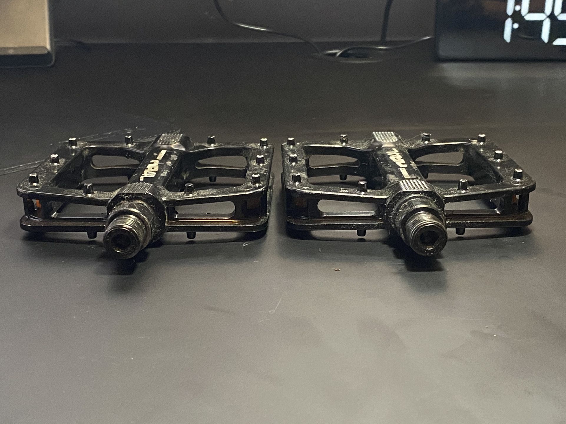 db4l alloy platform
