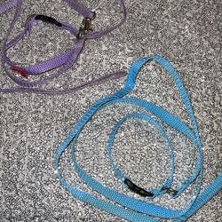 Collar And Leash Xsmall