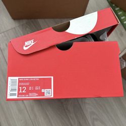 Nike Dunk Low Retro Panda 