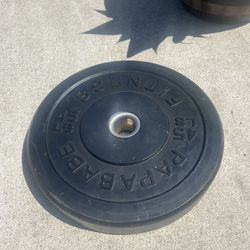 45 Pound Rubber Weights (2 Available)