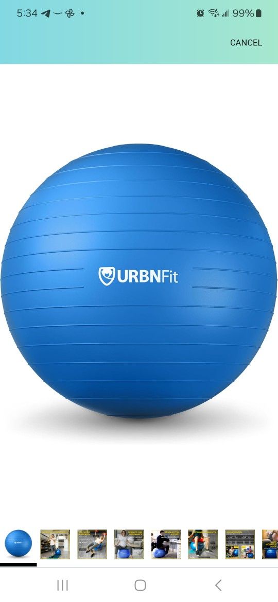 Exercise Ball