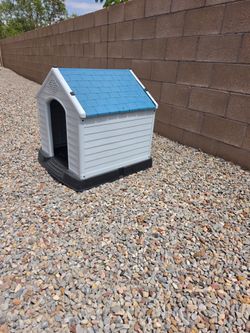 Dog House
