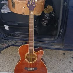 Please 508 Takamine  1996