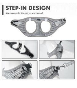 Step-in Dog Harness with Leash Collar Set - Reflective Dog Harnesses by Breathable Mesh Soft Padded Escape Proof Small Dog Vest Harness for Small Pupp Thumbnail
