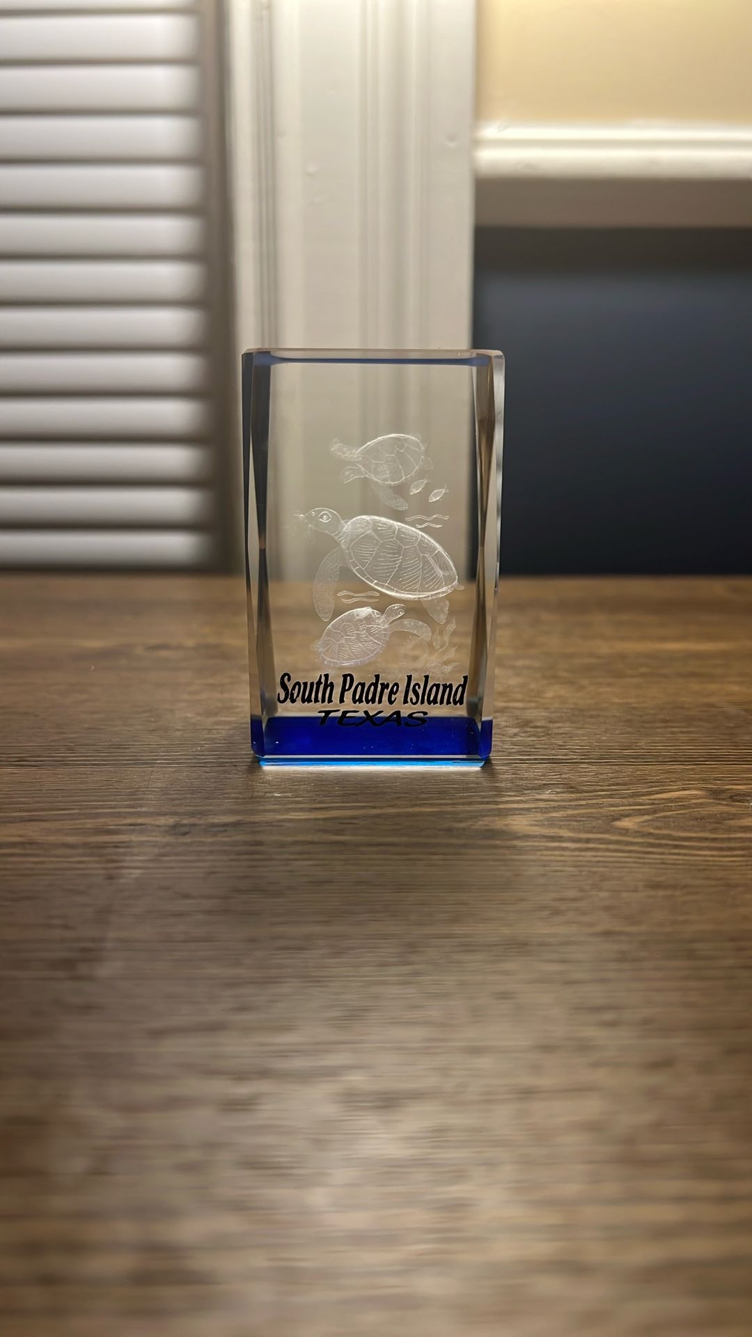 Sea Turtle Hologram Piece