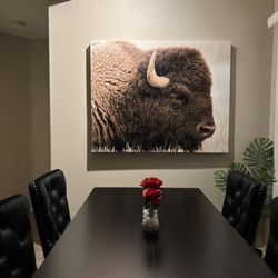 Buffalo Portrait