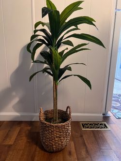 Large Faux Plant